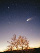 460px-Comet-Hale-Bopp-29-03-1997_hires_adj.jpg