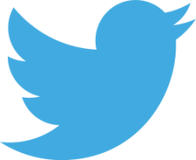 250px-Twitter_bird_logo_2012_svg.png