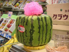 800px-Square_watermelon.jpg