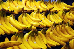 800px-Bananas.jpg