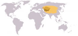 800px-Central_Asia_world_region2.png
