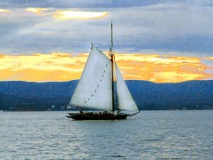 330px-Sloop_Clearwater3_-_Photo_by_Anthony_Pepitone.jpg